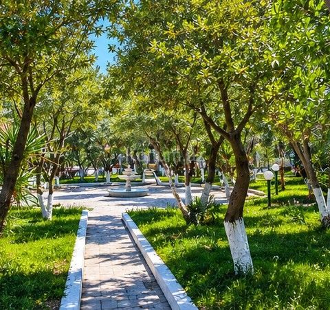 850 m² - Bakı, Səbail - kirayə — foto 10