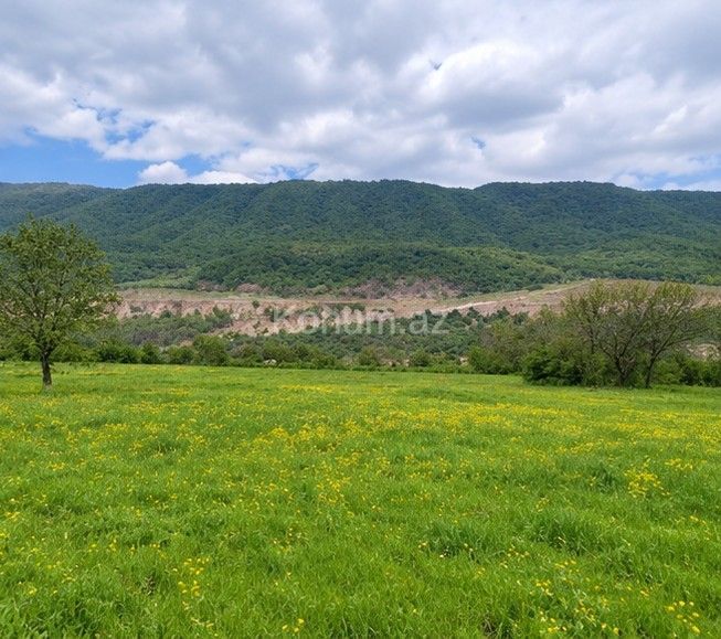 40 sot - Qusar - satılır — foto 4
