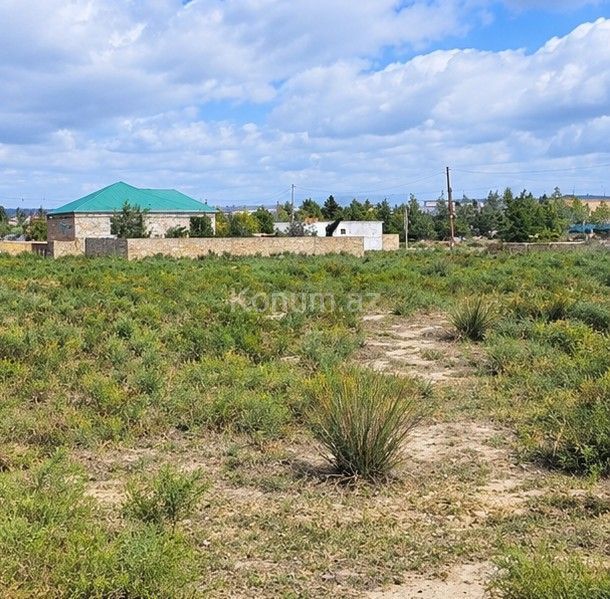 24 sot - Bakı, Abşeron - satılır — foto 4