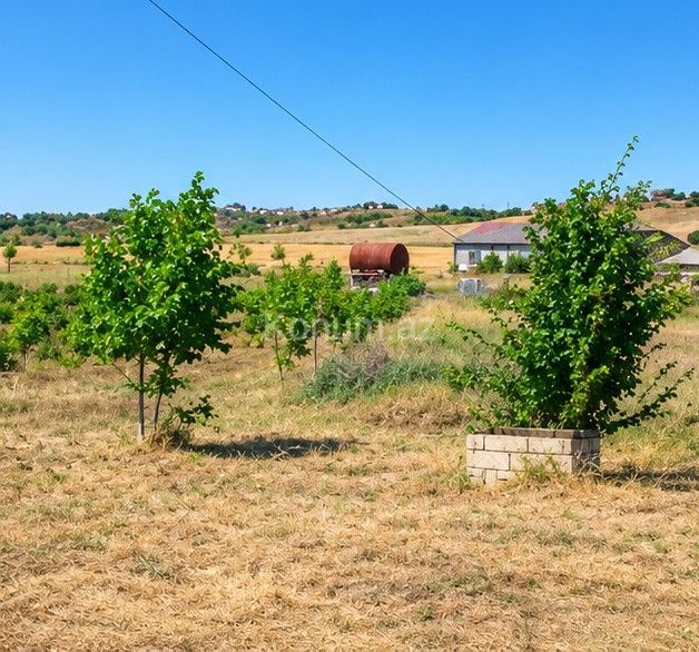 440 sot - Shamakhi - For sale — photo 3
