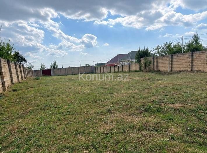 12 sot - Şamaxı - satılır — foto 2