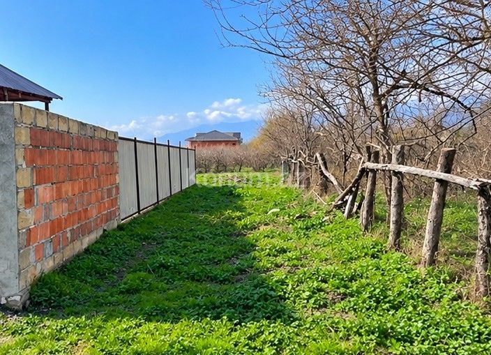 5 sot - Zaqatala - satılır — foto 2