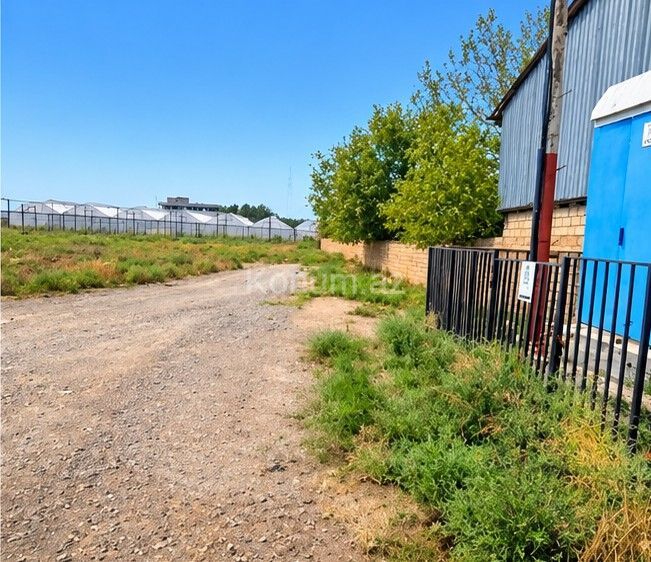 140 sot - Şirvan - satılır — foto 3