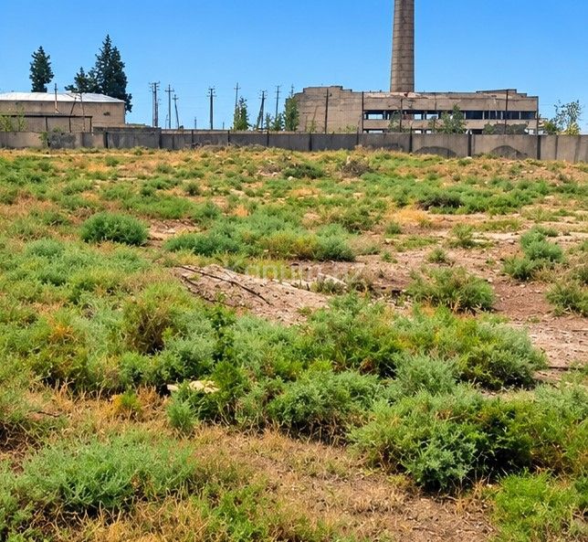 140 sot - Şirvan - satılır — foto 2