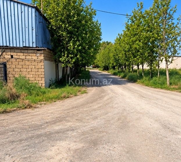 140 sot - Şirvan - satılır — foto 4