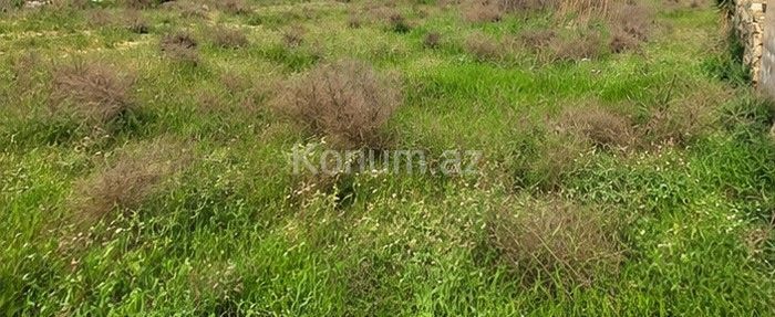 12 sot - Bakı, Sabunçu - satılır — foto 4