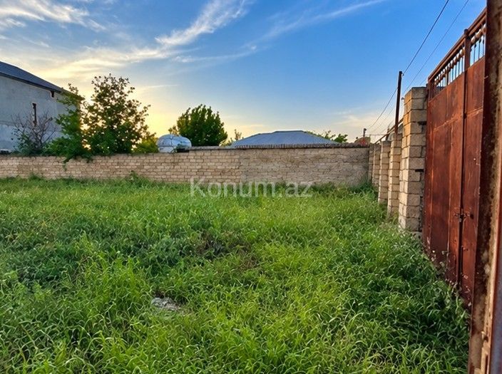 6 sot - Bakı, Abşeron - satılır — foto 3