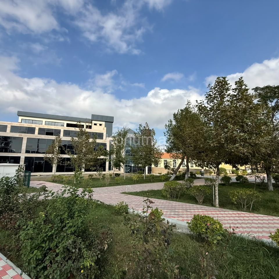 2 sot - Bakı, Abşeron - satılır — foto 3