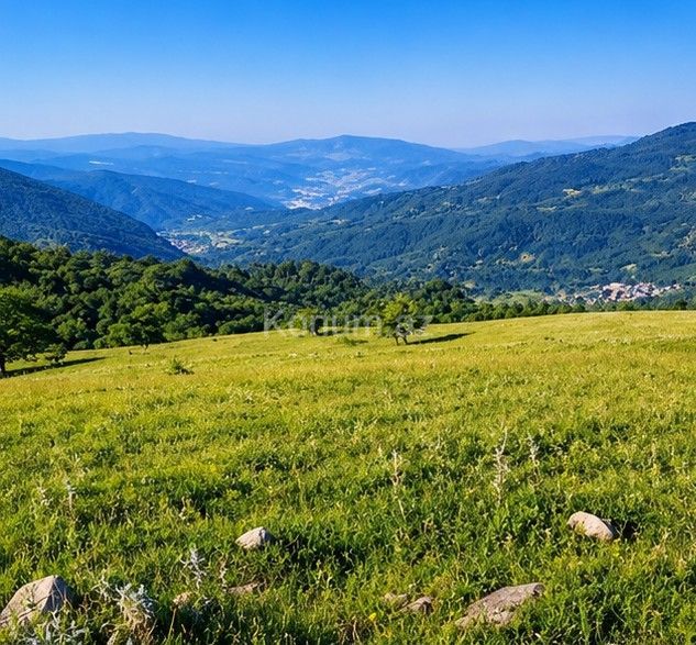 90 sot - Shamakhi - For sale — photo 3