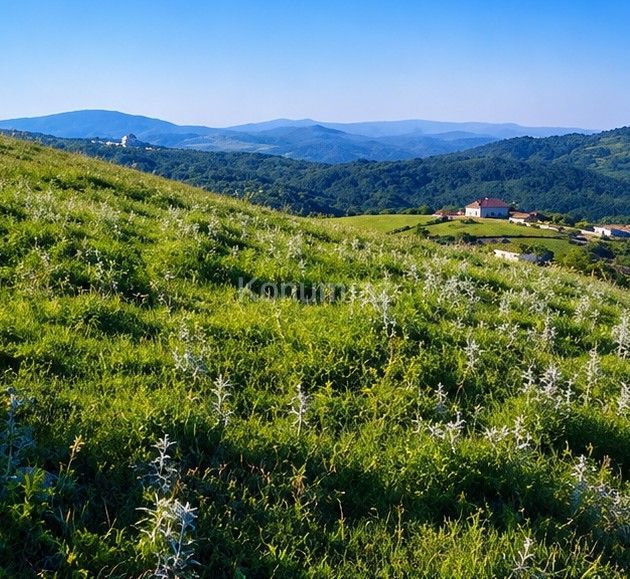 90 sot - Shamakhi - For sale — photo 4