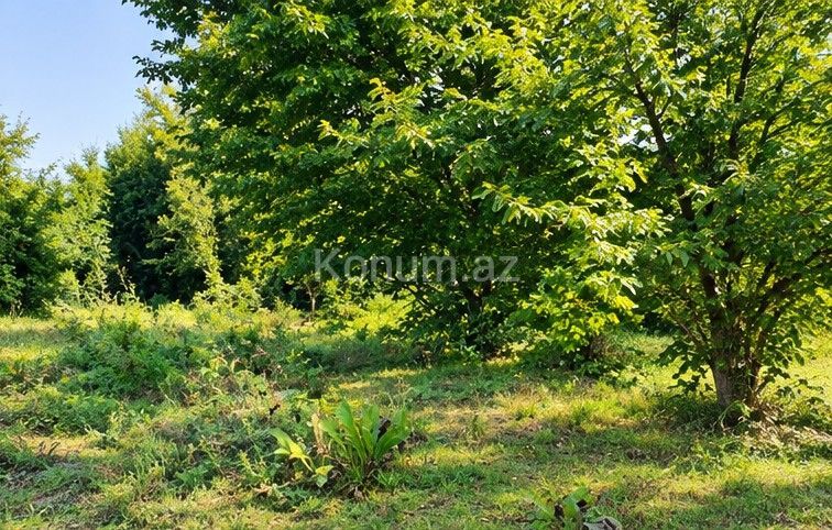7,22 sot - Qəbələ - satılır — foto 2