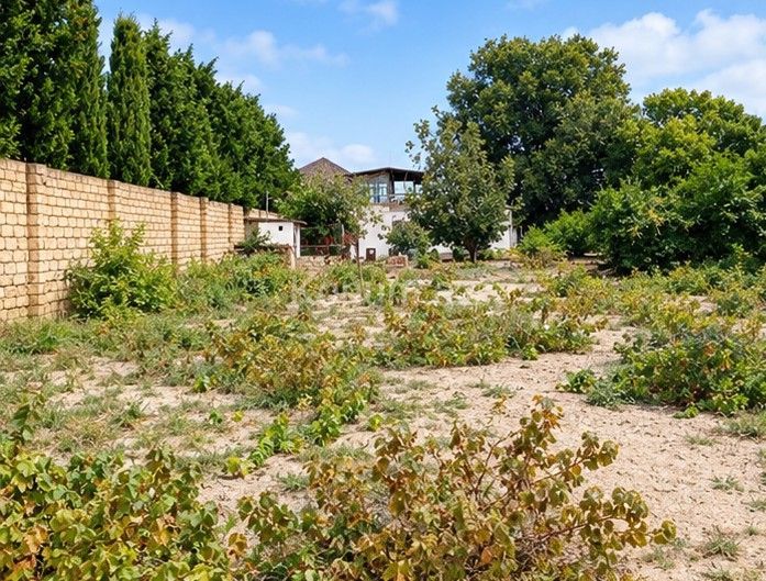 8 sot - Bakı, Abşeron - satılır — foto 2