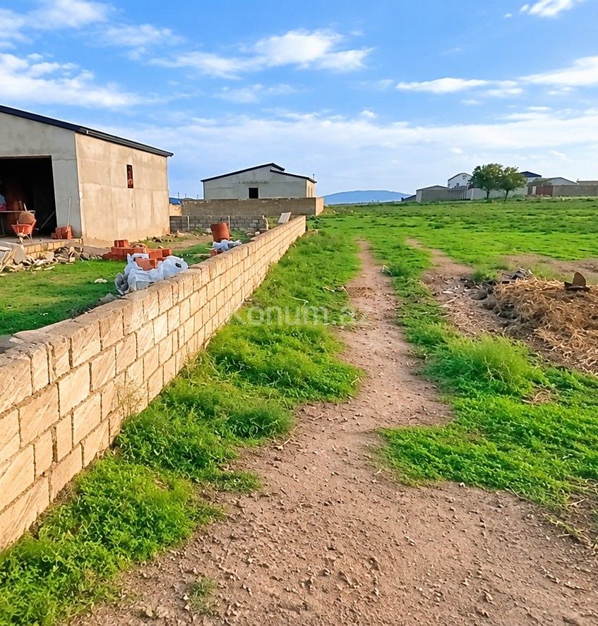3 sot - Bakı, Abşeron - satılır — foto 2