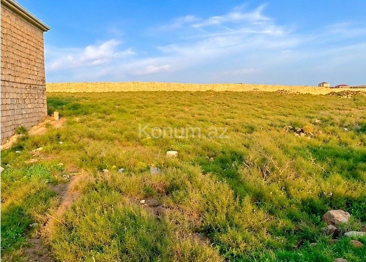 3 sot - Bakı, Abşeron - satılır — foto 2
