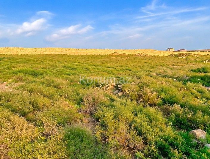 3 sot - Bakı, Abşeron - satılır — foto 4