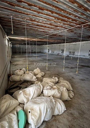 300 m² - Oğuz - satılır — foto 6