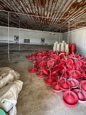 300 m² - Oğuz - satılır — foto 5
