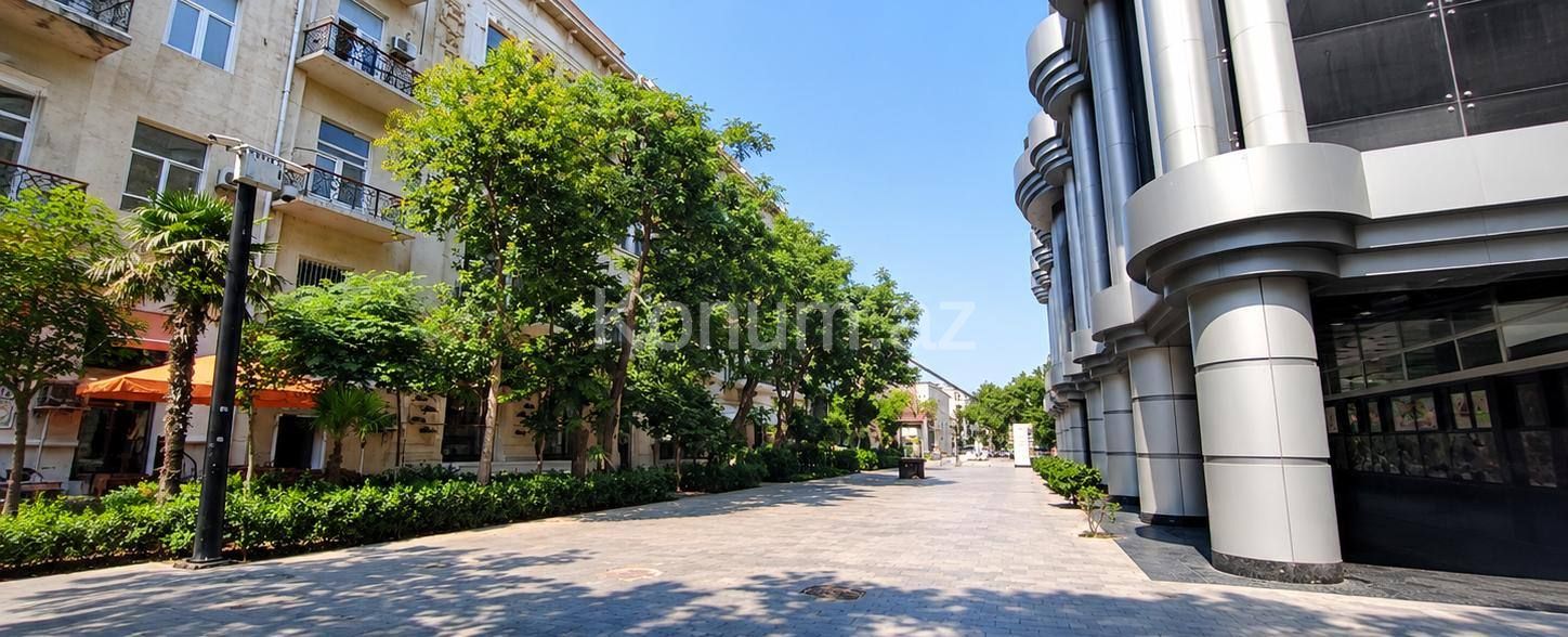 2 otaq, 71 m², 2/9 mərtəbə - Bakı, Səbail - kirayə — foto 2
