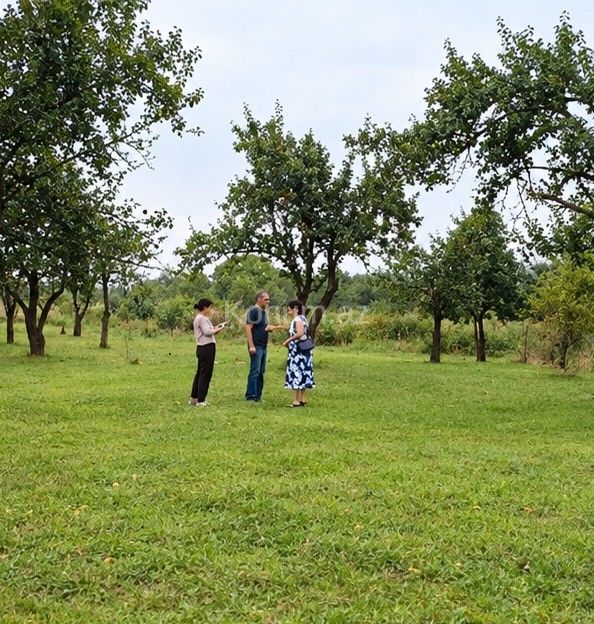 15 sot - Quba - satılır — foto 2