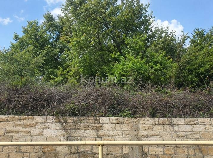 17 sot - Şamaxı - satılır — foto 3