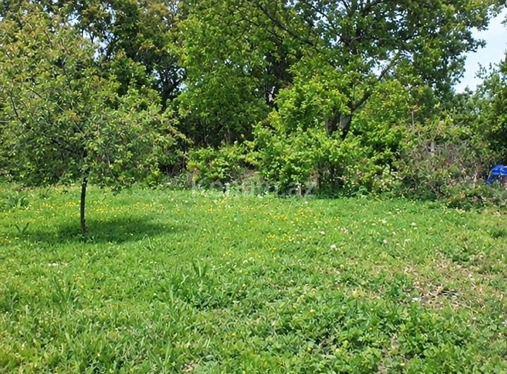 17 sot - Şamaxı - satılır — foto 2