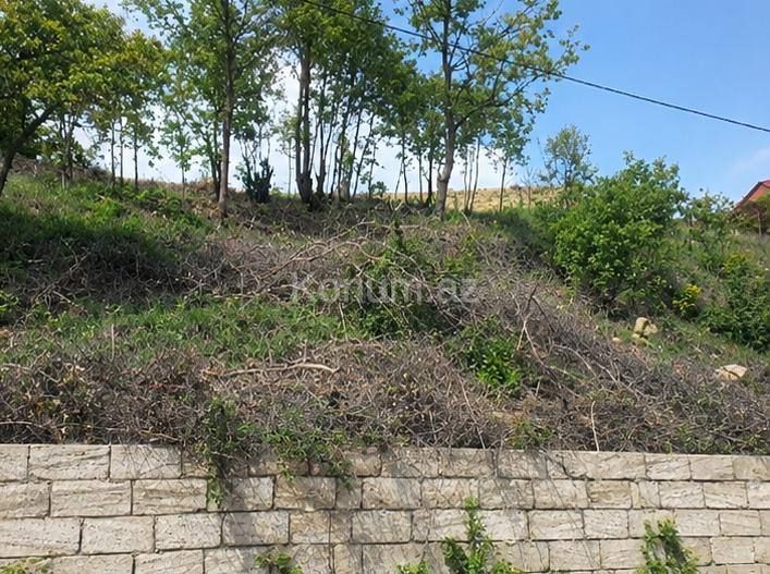 17 sot - Şamaxı - satılır — foto 4