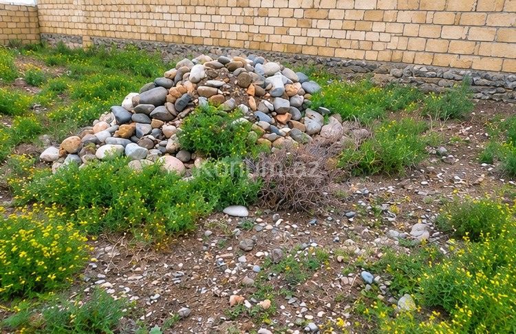 4 sot - Gəncə - satılır — foto 2