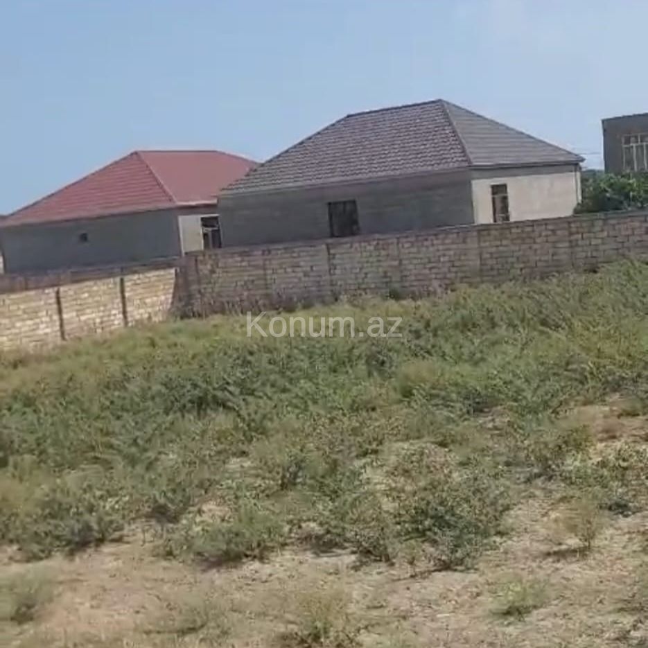 12 sot - Bakı, Abşeron - satılır — foto 2