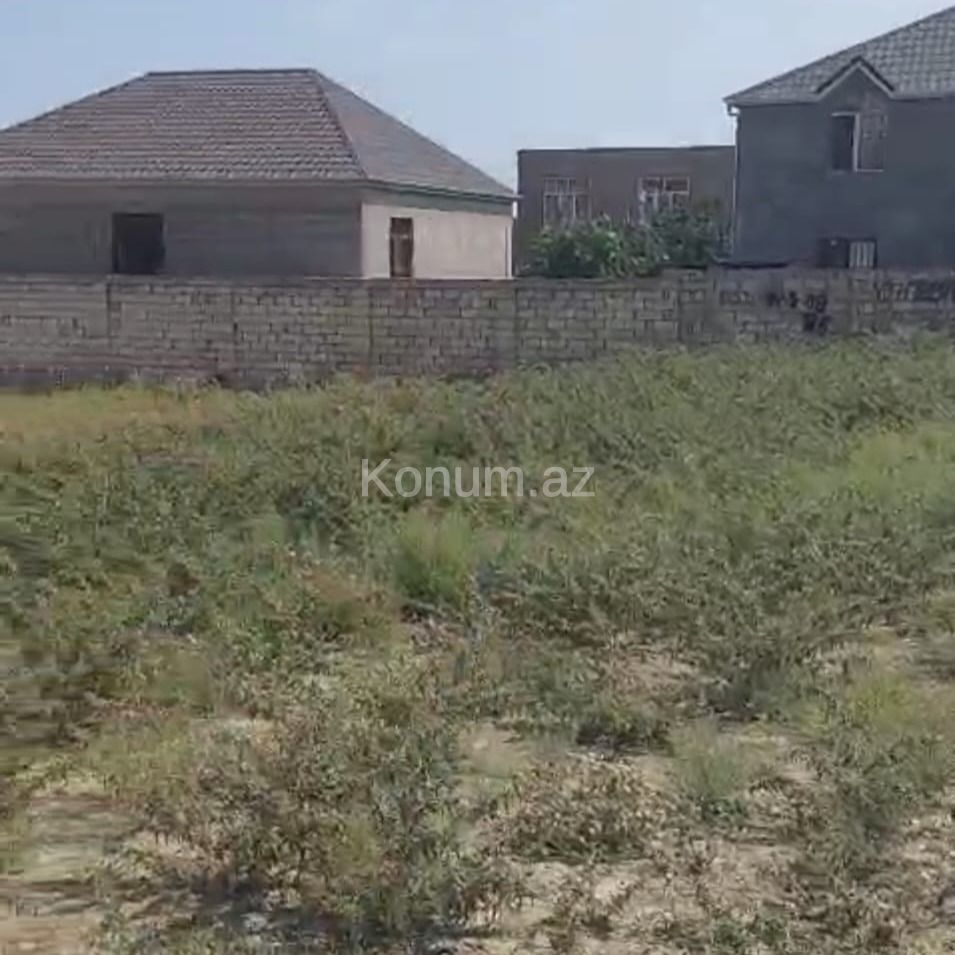 12 sot - Bakı, Abşeron - satılır — foto 3