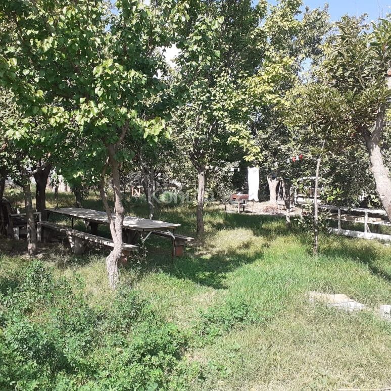 4 sot - Bakı, Abşeron - satılır — foto 3