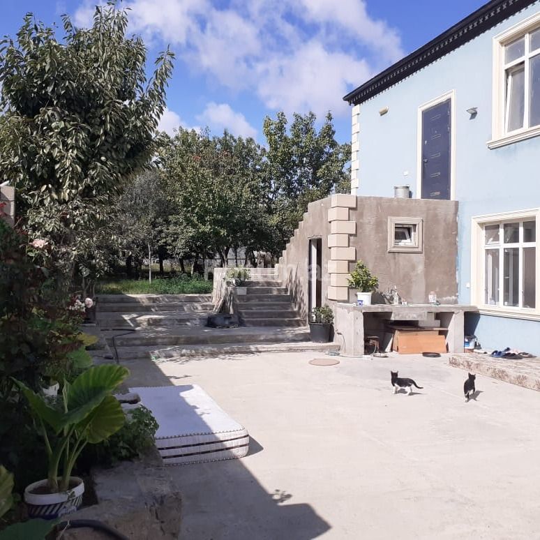 4 sot - Bakı, Abşeron - satılır — foto 2