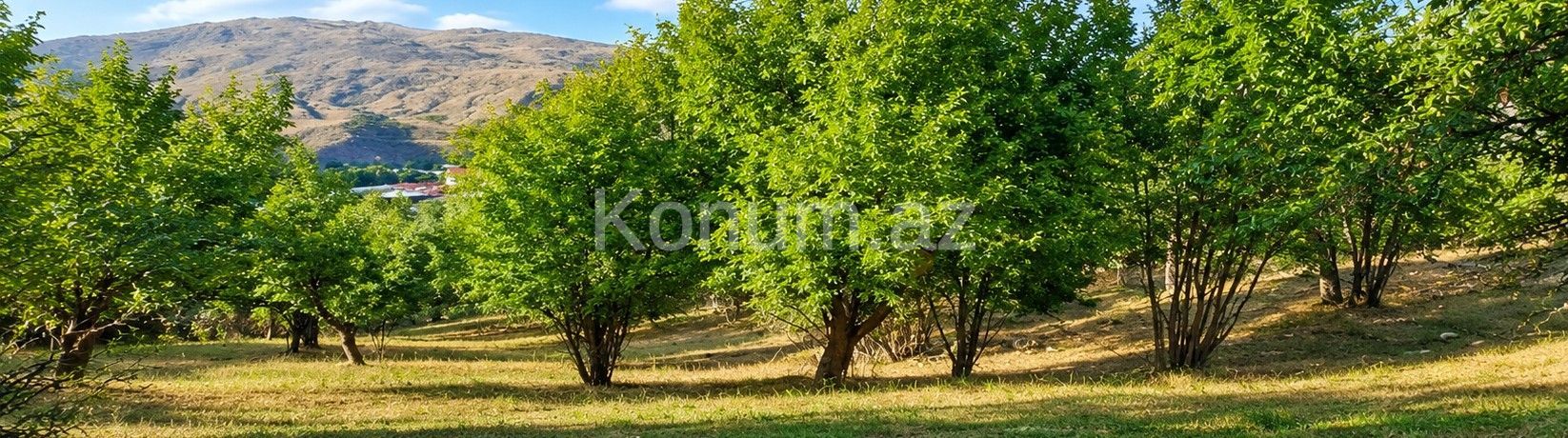 6 sot - İsmayıllı - satılır — foto 3