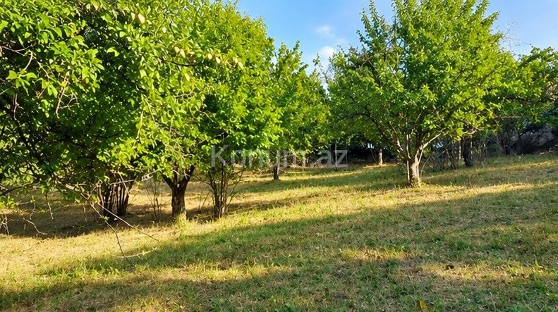 6 sot - İsmayıllı - satılır — foto 2