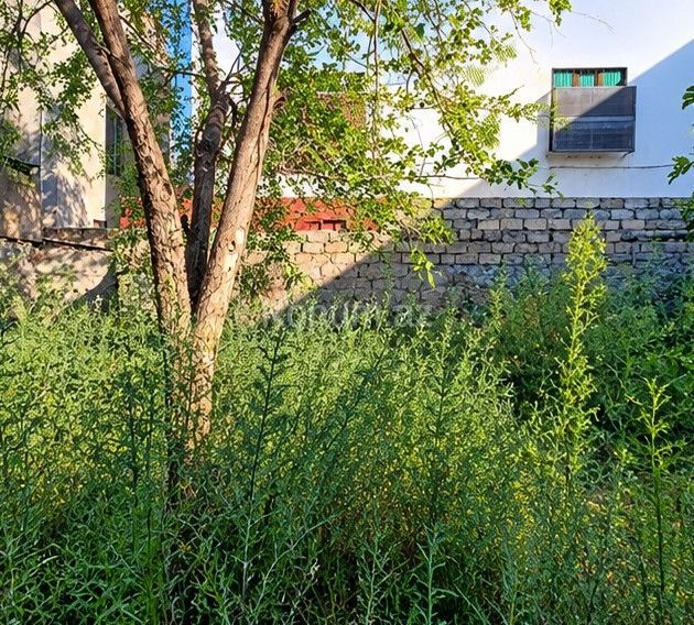 3,6 sot - Bakı, Sabunçu - satılır — foto 4