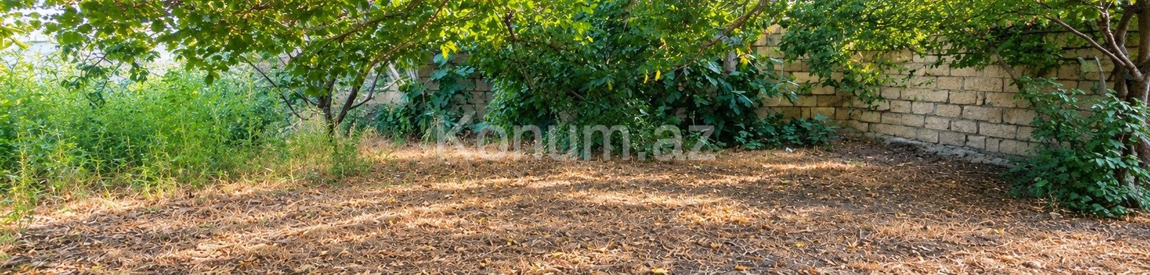 2,5 sot - Sumqayıt - satılır — foto 2