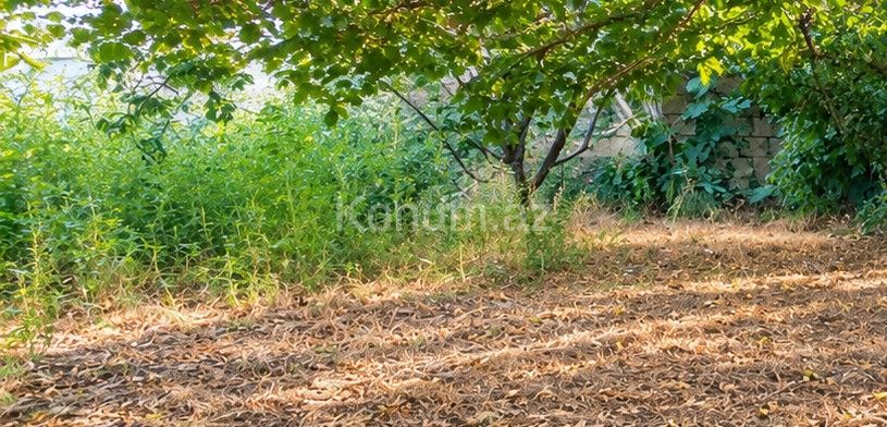 2,5 sot - Sumqayıt - satılır — foto 4