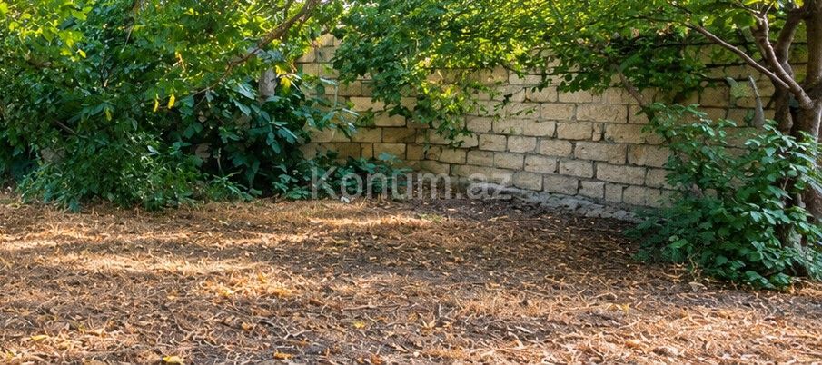 2,5 sot - Sumqayıt - satılır — foto 5
