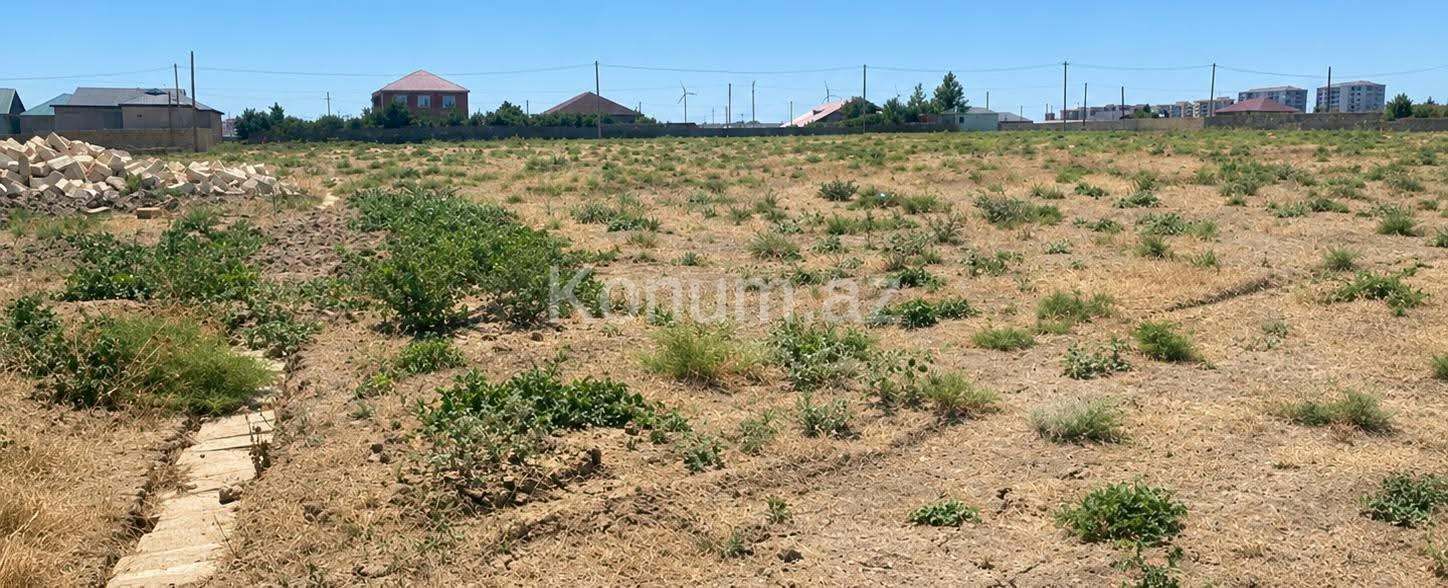 5 sot - Bakı, Abşeron - satılır — foto 3