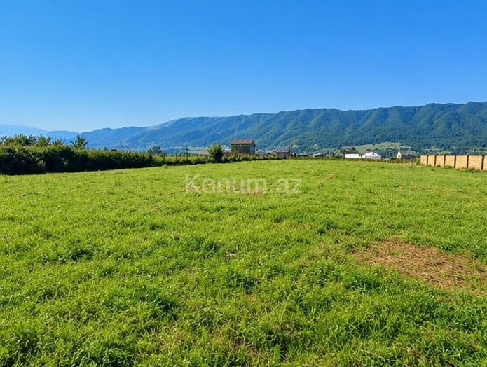21 sot - Qusar - satılır — foto 2