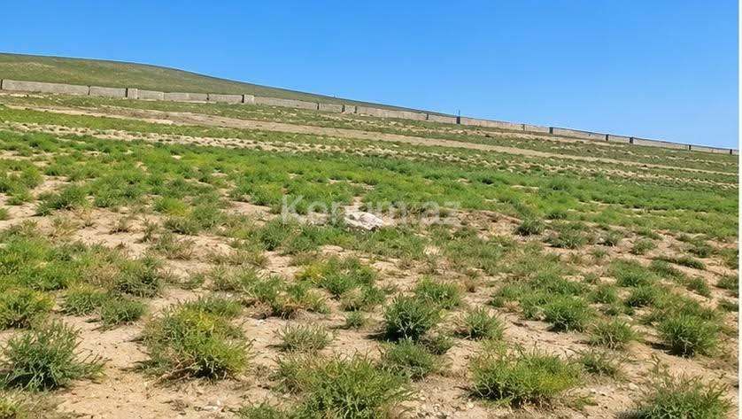 40 sot - Bakı, Abşeron - satılır — foto 2