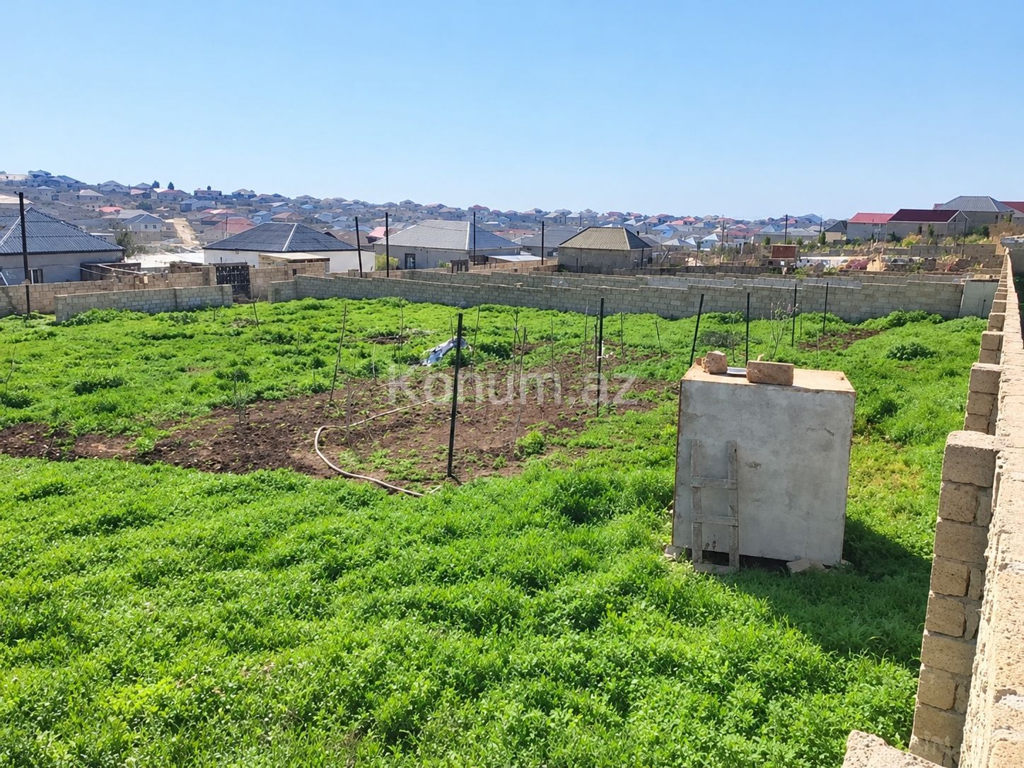 24 sot - Bakı, Abşeron - satılır — foto 3