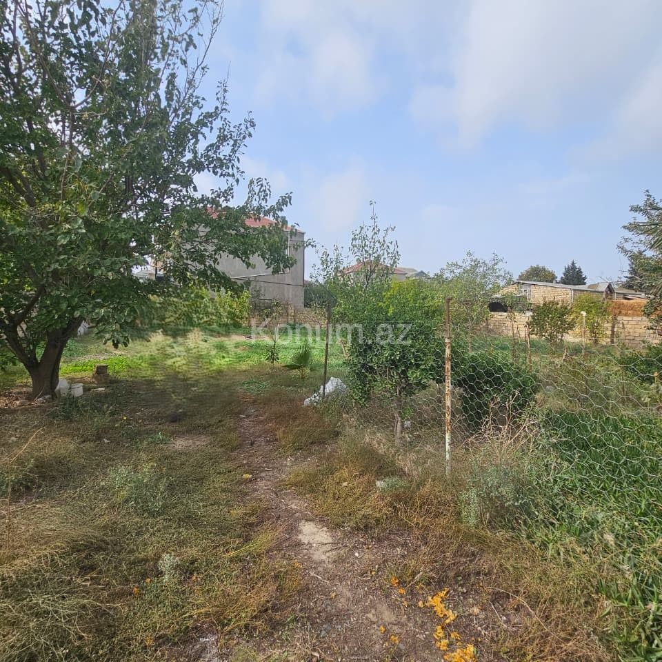 10 sot - Bakı, Abşeron - satılır — foto 2