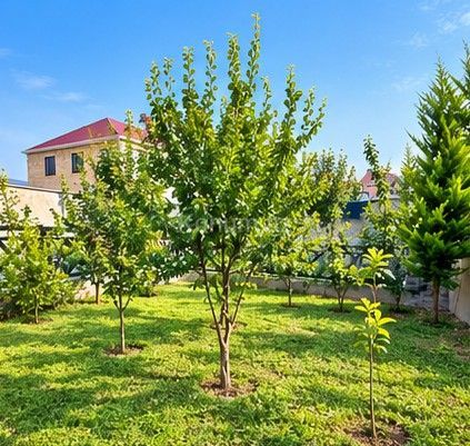 3 otaq, 170 m² - Şamaxı - satılır — foto 2
