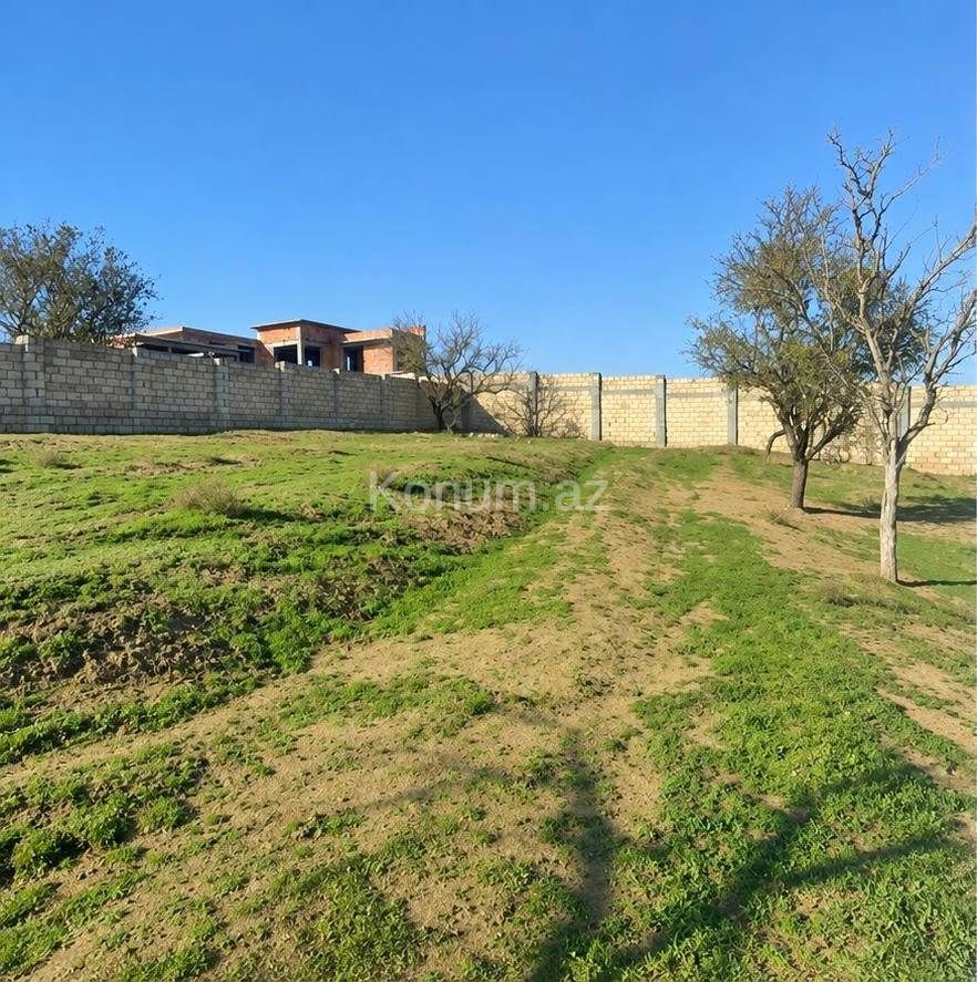 10 sot - Bakı, Abşeron - satılır — foto 2