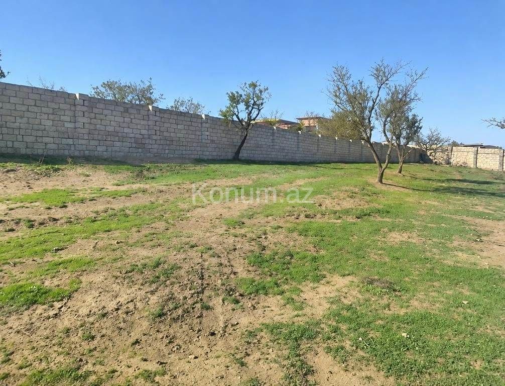 10 sot - Bakı, Abşeron - satılır — foto 3