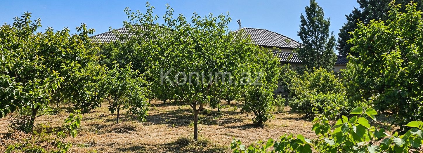 3 sot - Sumgayit - For sale — photo 2