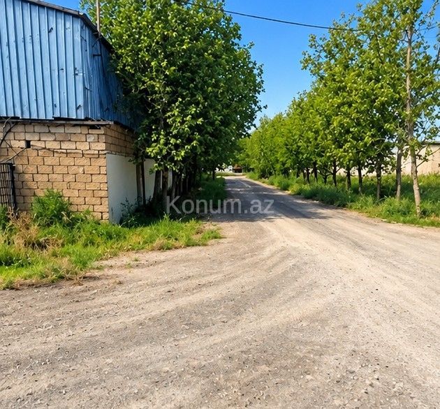 140 sot - Şirvan - satılır — foto 3