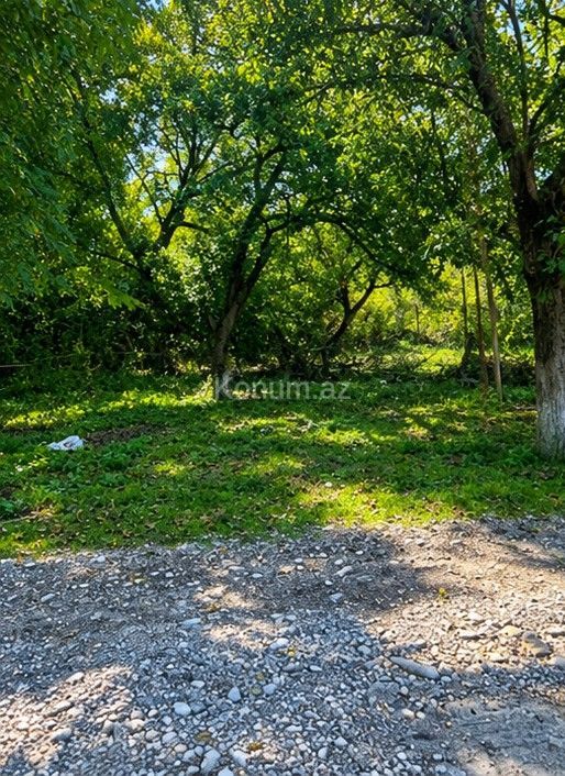 4 sot - Qusar - satılır — foto 3