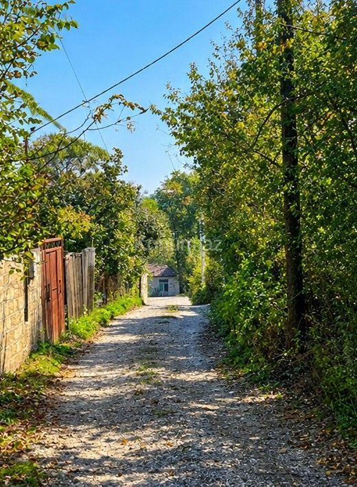4 sot - Qusar - satılır — foto 4
