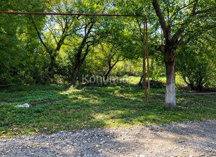 4 sot - Qusar - satılır — foto 3